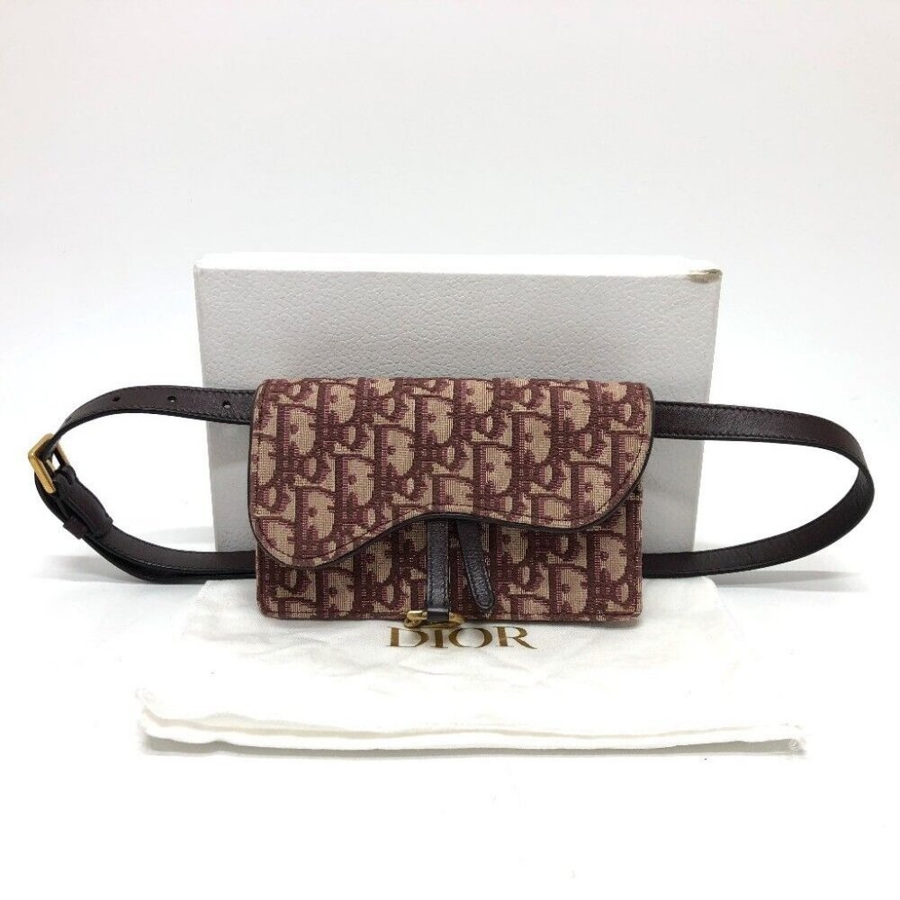 Christian Dior Trotter SADDLE belt pouch Waist pouch body bag - Picture 2 of 14